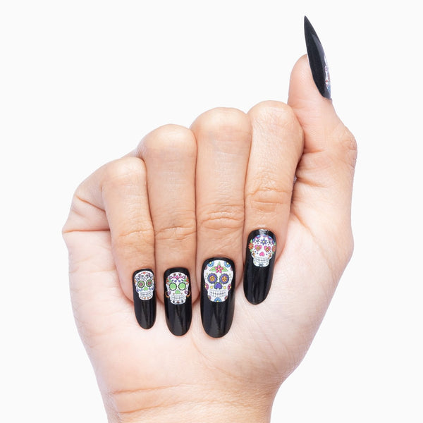 Mexican Painted Skulls