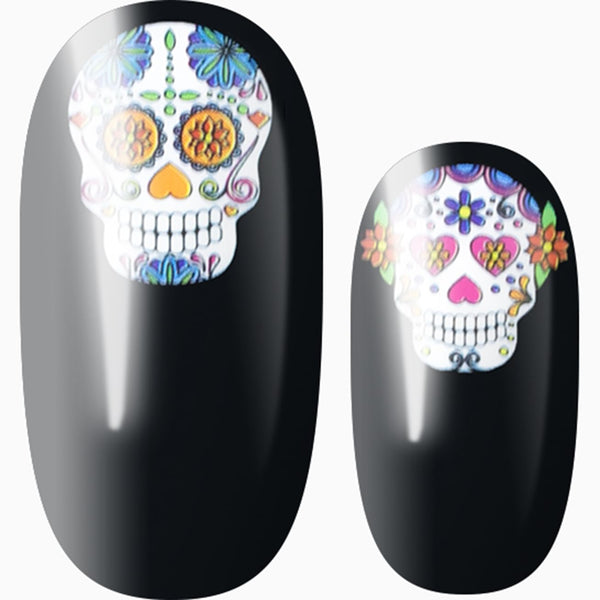 Mexican Painted Skulls