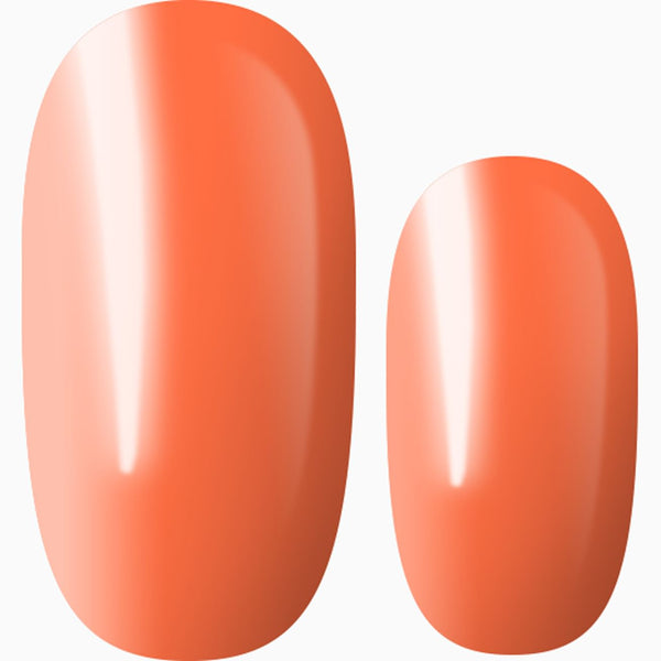 Orange Lights