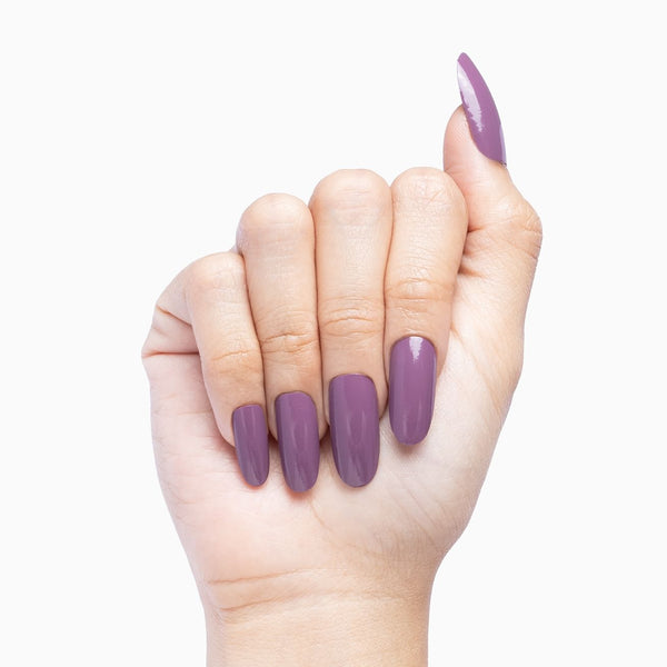 Autumn Purple