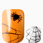 Web Developer (Pedicure)