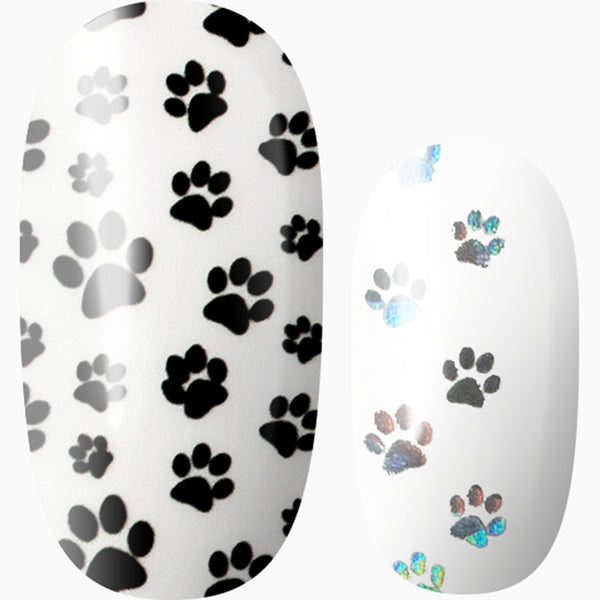 Anything is Paw-sible (transparent)
