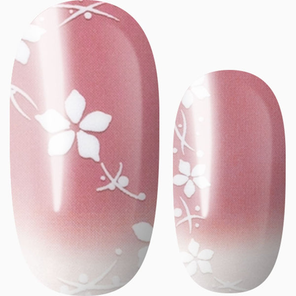 Cherry Blossom (translucent)