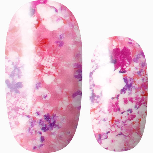 Petal Pop