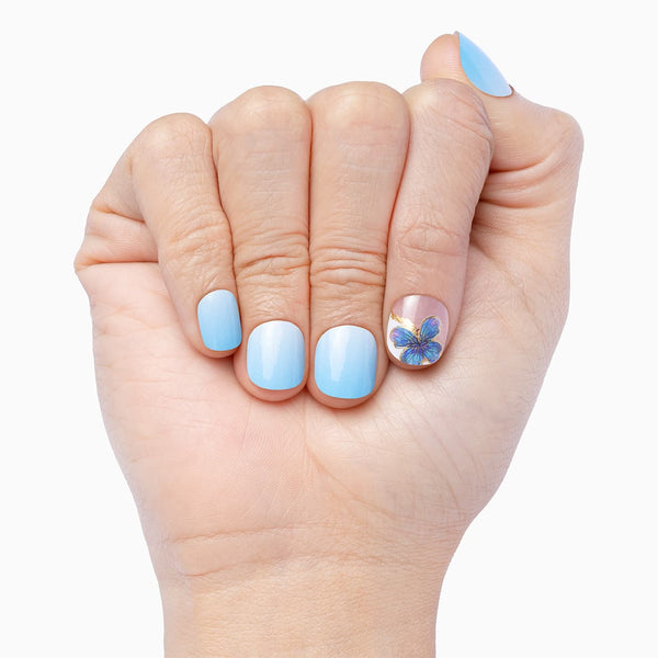 Butterfly Blue