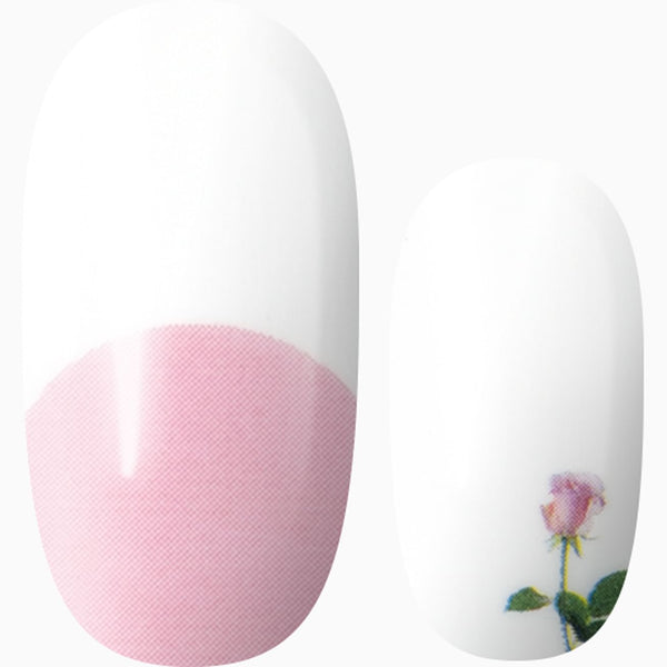 French Rose