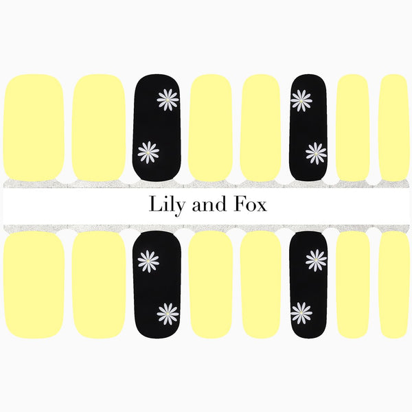 Sunny Daisies
