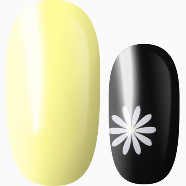 Sunny Daisies