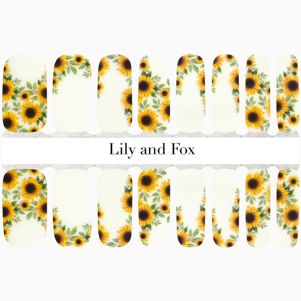 August Sunshine (transparent)