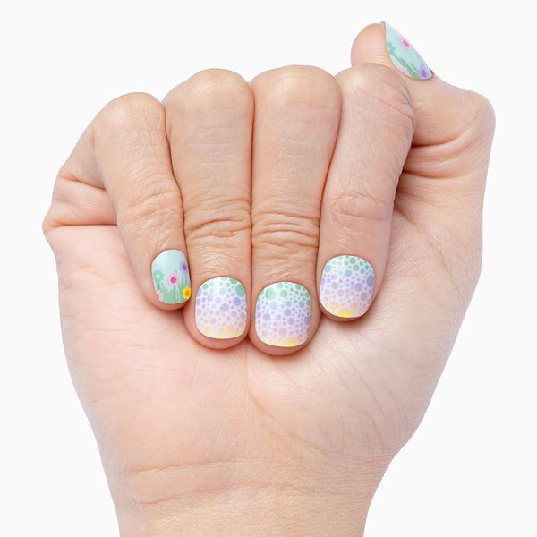 Spring Is In The Air