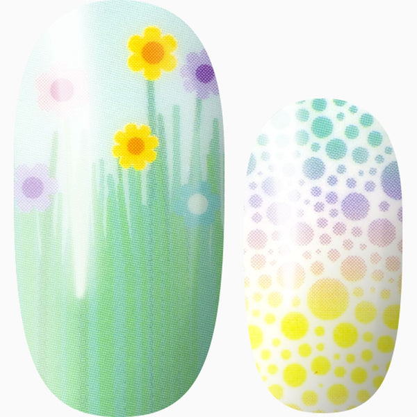 Spring Is In The Air