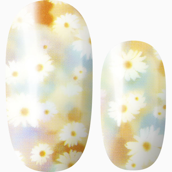 Fields Of Sunshine