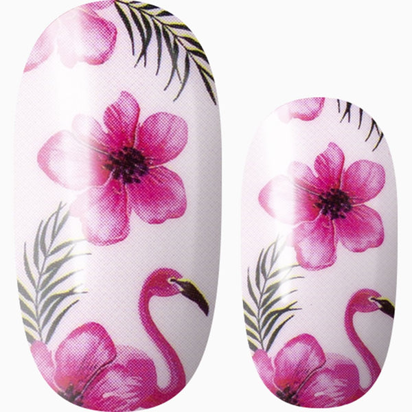 Floral Flamingo