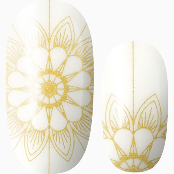 Goldhemian (transparent)