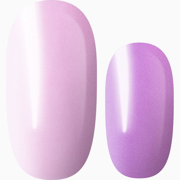Whimsy Purples
