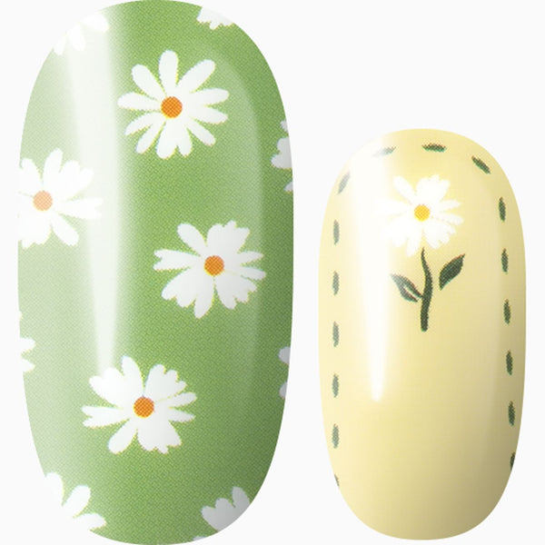 Stitched With Daisies