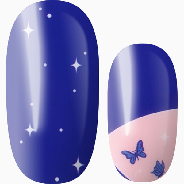 Starlight Flutter