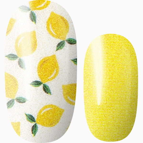 Under the Lemon Tree