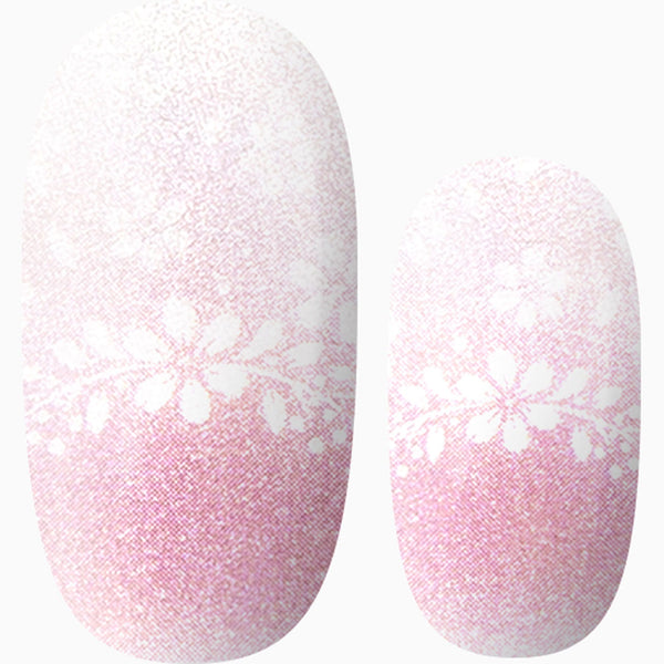 Blushing in Lace