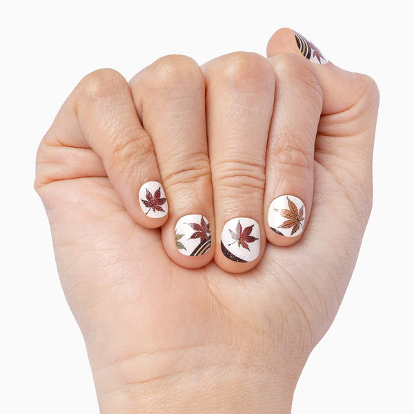 Autumn Swirl